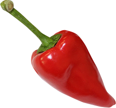 Pimiento del piquillo de Lodosa